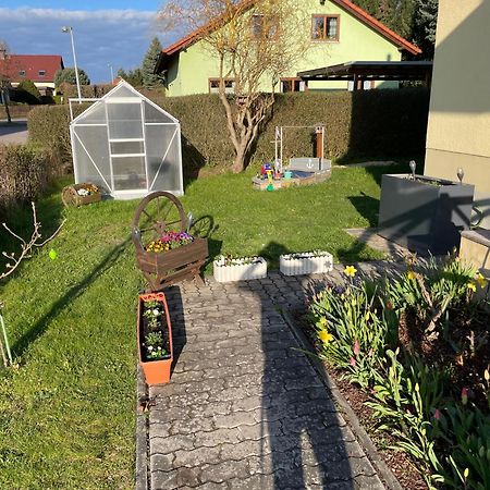 Apartament Dorfidyll Im Gruenen Mittelherwigsdorf Zewnętrze zdjęcie